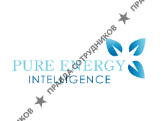 Pure Energy Intelligence Ltd.