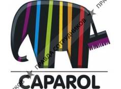 Caparol, Группа компаний